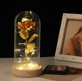 Mothers Day Gift Enchanted Forever Rose Flower In Glass LED Light Home Decoration (Option: Gold rose)