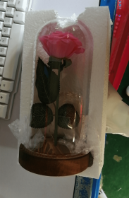 Mothers Day Gift Enchanted Forever Rose Flower In Glass LED Light Home Decoration (Option: Pink rose)