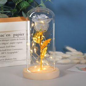Mothers Day Gift Enchanted Forever Rose Flower In Glass LED Light Home Decoration (Option: Bright grey)