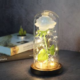 Mothers Day Wedding Favors Bridesmaid Gift Immortal Simulation Rose Glass Cover Luminous Led Ornament (Option: M)
