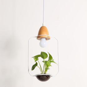 Plant Chandelier (Option: Awhite-White light)