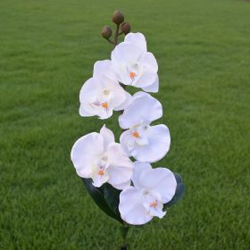 Outdoor 5-head Solar Phalaenopsis LED Flower Light (Color: White)