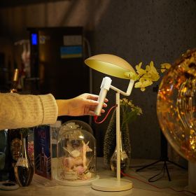 FlashLight LED Table Lamp (Option: White-White light-USB)