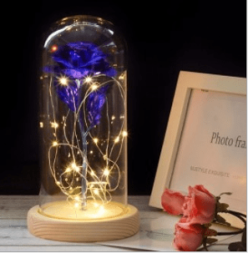 Mothers Day Gift Enchanted Forever Rose Flower In Glass LED Light Home Decoration (Option: Blue rose)
