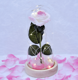 Mothers Day Gift Enchanted Forever Rose Flower In Glass LED Light Home Decoration (Option: Pink white rose)