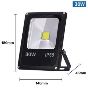 Waterproof Outdoor Lamp Outdoor Project Project Light (Option: White light-30W)