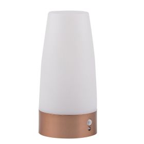 Wireless outdoor sensor light (Option: Round gold)