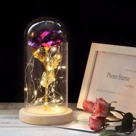 Mothers Day Gift Enchanted Forever Rose Flower In Glass LED Light Home Decoration (Option: Purple rose)