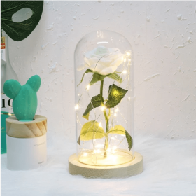 Mothers Day Gift Enchanted Forever Rose Flower In Glass LED Light Home Decoration (Option: White rose)