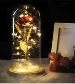Mothers Day Gift Enchanted Forever Rose Flower In Glass LED Light Home Decoration (Option: Red rose)