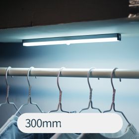 LED sensor light bar (Option: 2White light-300mm)